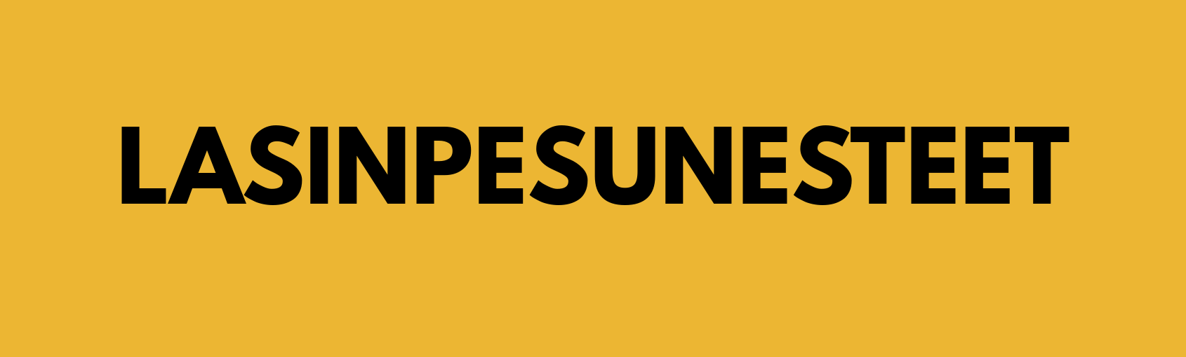 LASINPESUNESTEET.png