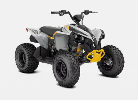 RENEGADE EFI 110 0003CSC00